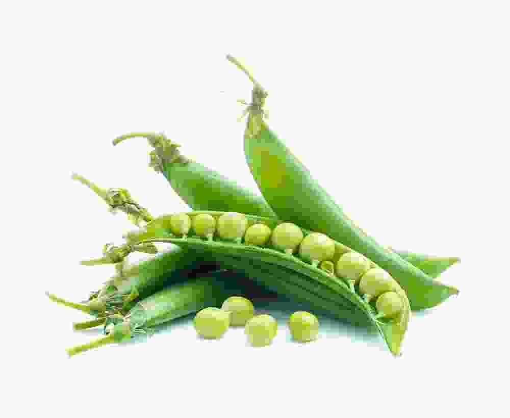 Organic Sweet Peas
